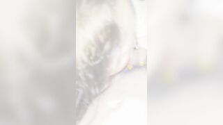 上海のツインテールメガネ少女[鄭一環] + 河北[劉志奇]、深センのモデル、その他5人のヒロイン、写真47枚 + 動画85本 [コレクターズエディション china 1 07-170626