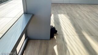 連日jk盗撮② クール系黒髪ちゃん voyeur jp