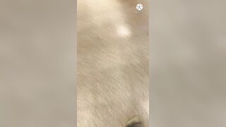 可愛い恥ずかしがり屋な天使ちゃん15人のスカートの中撮らせてくれました voyeur jp 13