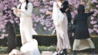 vol 627 2022年 お花見特集 第１弾 voyeur jp 07