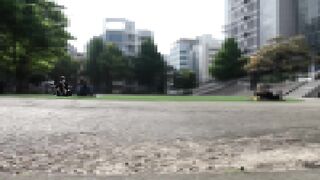公園はパンチラの宝庫です 純白pが vol 1 voyeur jp
