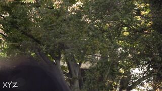 4k 超高画質 チア no 027 voyeur jp
