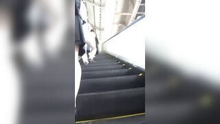 パンチラ盗撮 女子大生 パンストに透ける水色パンツを激写 voyeur jp