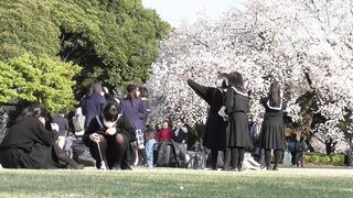 制服ｊｋ特集 vol 59 お花見特別編 voyeur jp 03